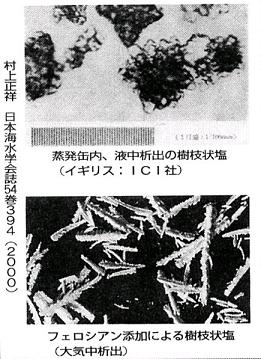 フェロシアン化物添加により生成される樹枝状塩