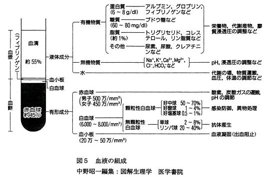 血液の組成