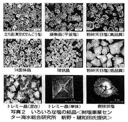 いろいろな塩の結晶