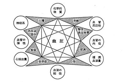 血圧に影響を及ぼす因子