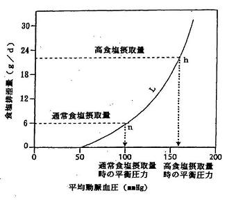 腎臓における血圧と食塩排泄量の関係