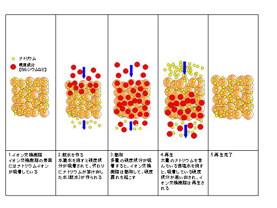イオン交換樹脂を再生する原理について解説