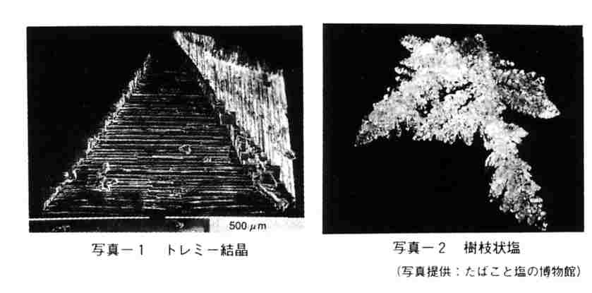 トレミー結晶と樹枝状塩の写真