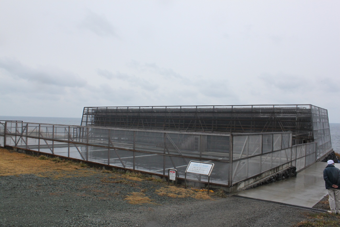 ネット架流下式塩田