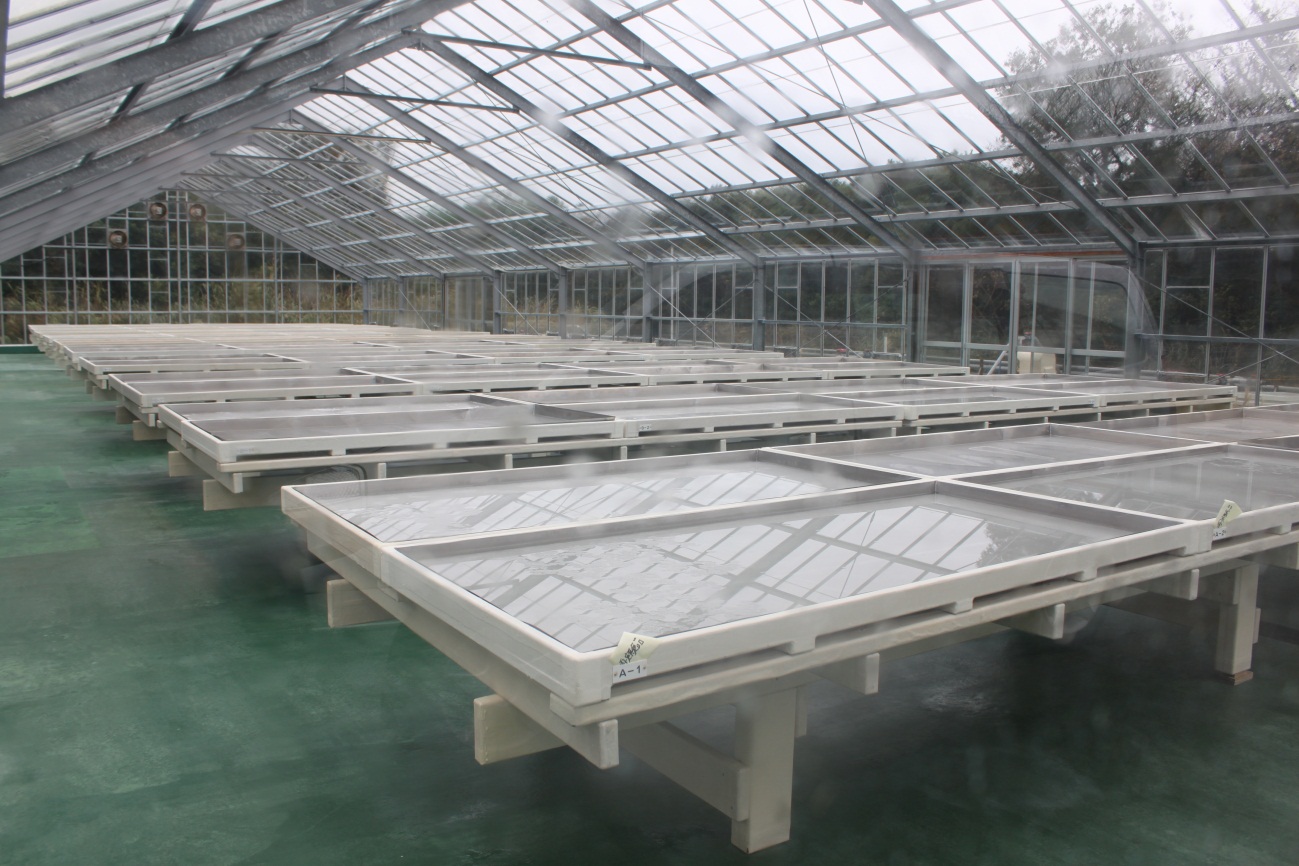 天日塩製造用結晶箱